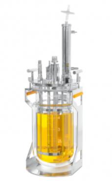advantages of batch glass reactor