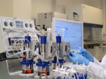 batch glass reactor used in lab