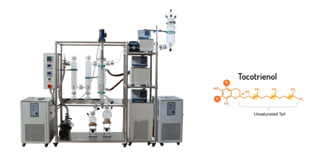 tocotrienol extracting with molecular distillation