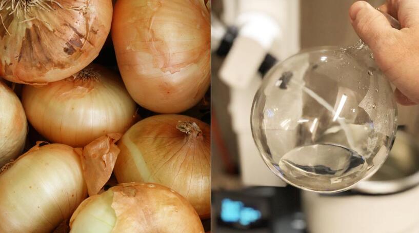 micro rotovap in molecular cooking